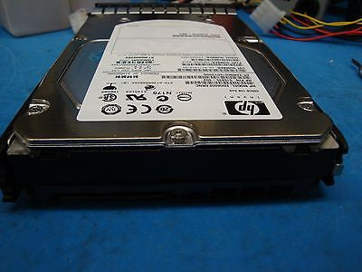 Seagate HP 600GB 10K SAS 3.5'' 6GB/s 516835-002 ST3600002SS ED0600FARNC - Micro Technologies (yourdrives.com)