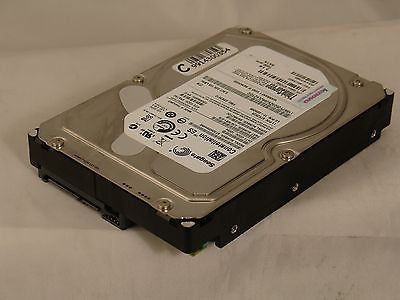 SEAGATE ST32000644NS 2TB - LENOVO 67Y2523 - 9JW168-076 - Micro Technologies (yourdrives.com)