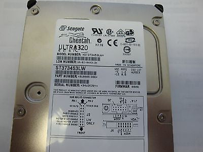 Seagate ST373453LW 73GB SCSI Hard drive 15K RPM 8mb cache - Micro Technologies (yourdrives.com)