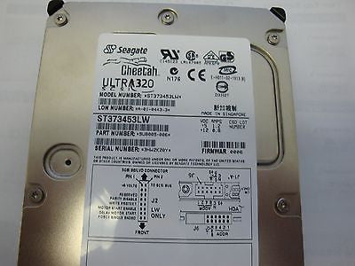 Seagate ST373453LW with 0006 Firmware 73GB SCSI Hard drive 15K RPM - Micro Technologies (yourdrives.com)