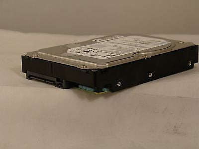 SEAGATE ST32000644NS 2TB - LENOVO 67Y2523 - 9JW168-076 - Micro Technologies (yourdrives.com)