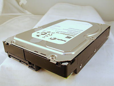 Seagate Constellation ES 2TB 7200RPM ST32000644NS 9JW168-502 Int Hard Drive - Micro Technologies (yourdrives.com)